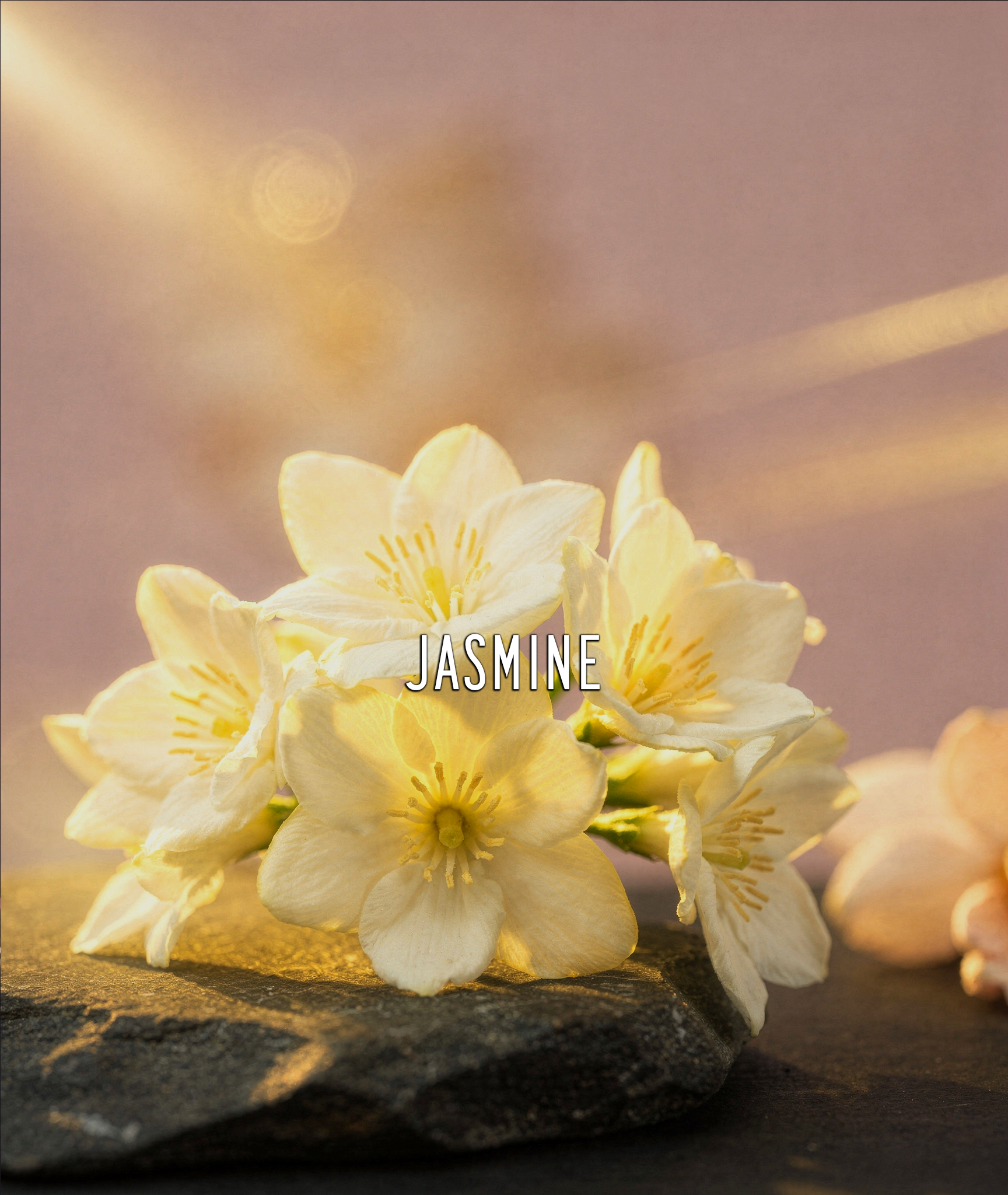 Angel Flower EDP – 20ml Travel