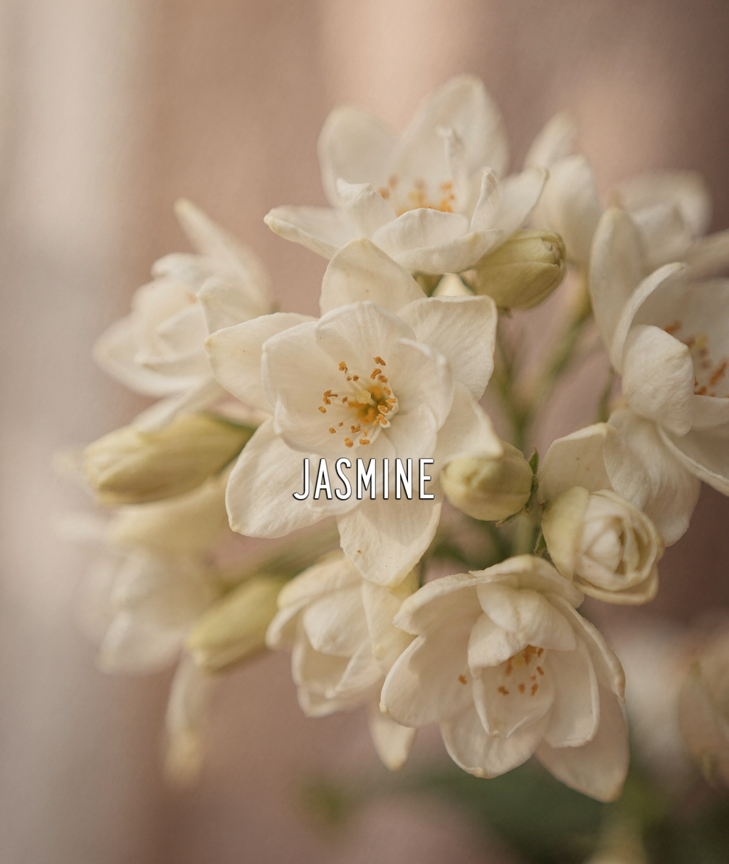 Lily of the Valley EDP – 20ml Travel