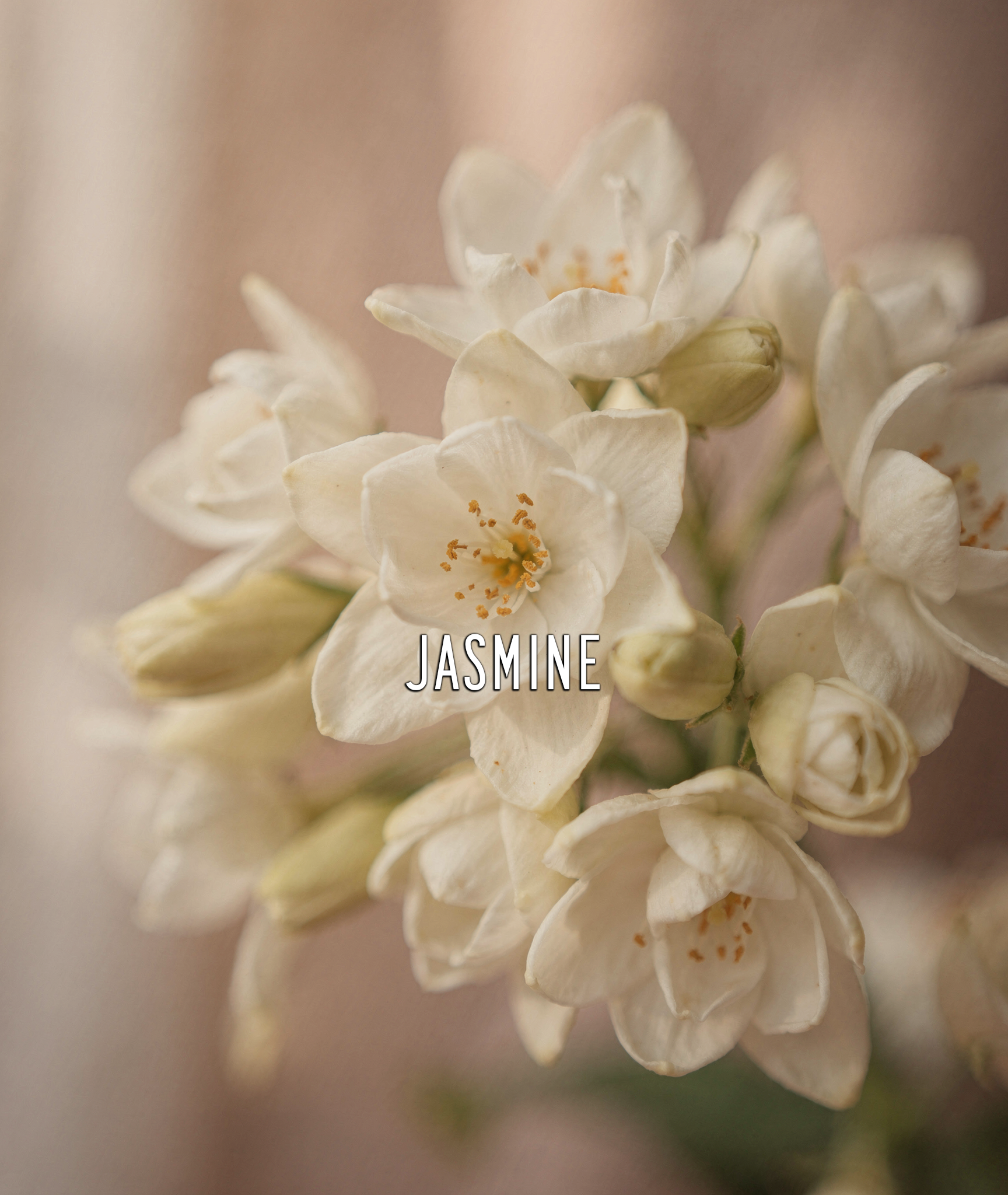 Lily of the Valley EDP – 20ml Travel