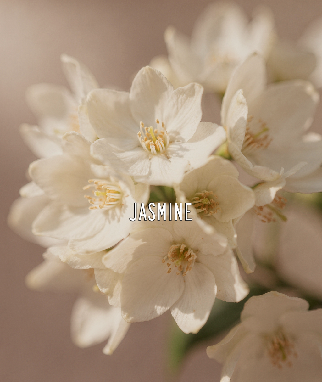 Lily of the Valley EDP – 100ml