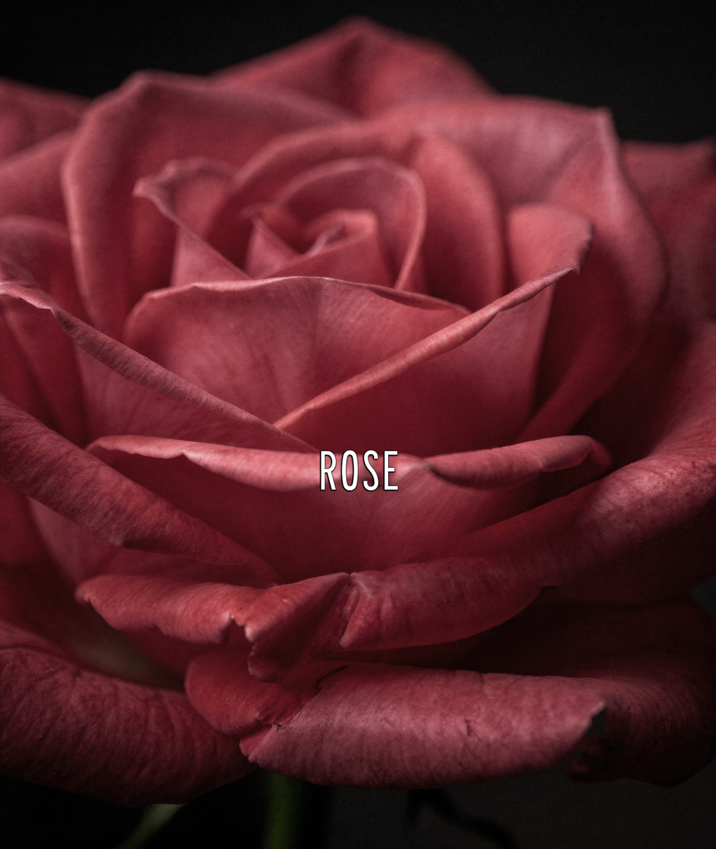 Rose of Sharon EDP – 100ml