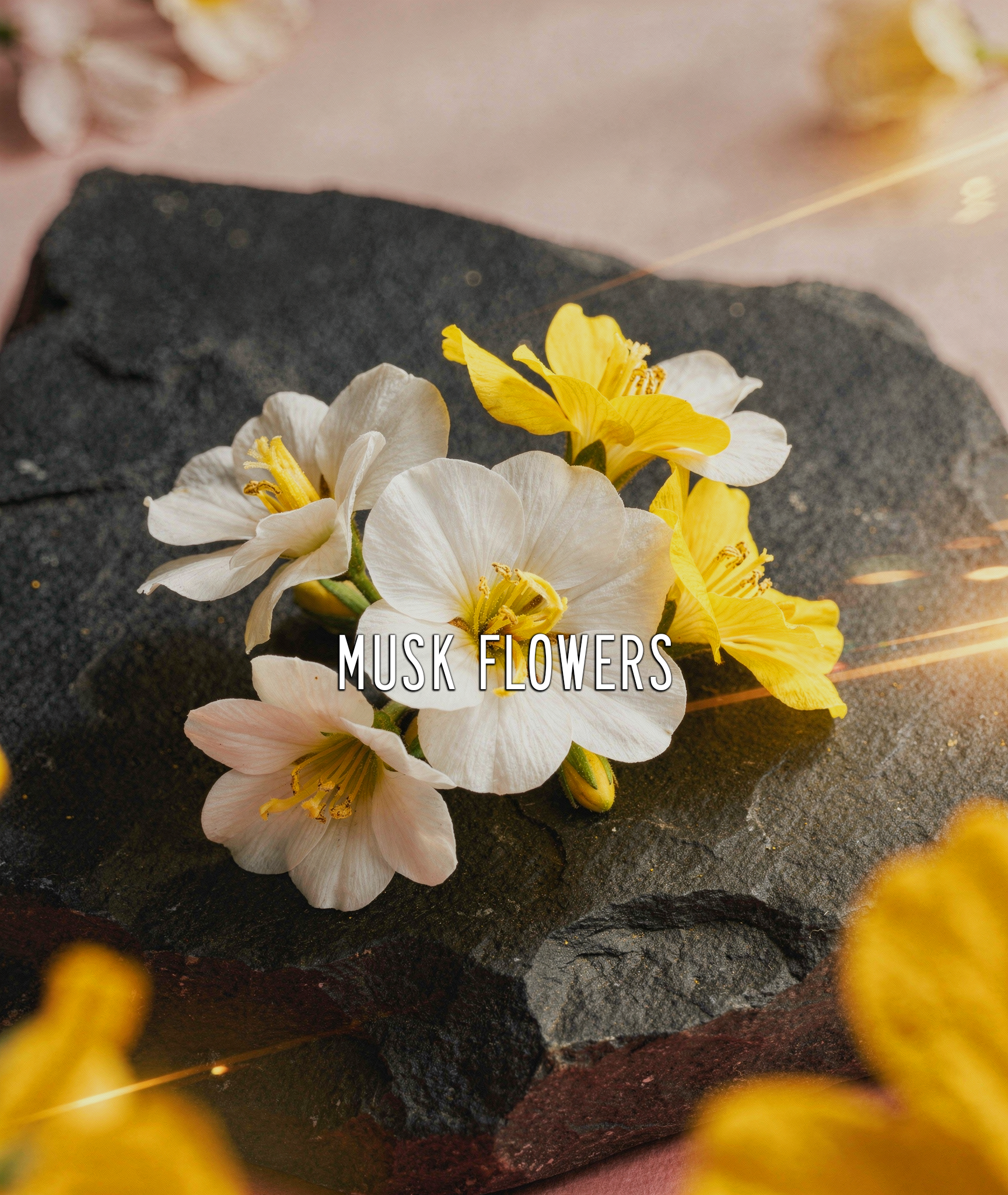 Angel Flower EDP – 20ml Travel